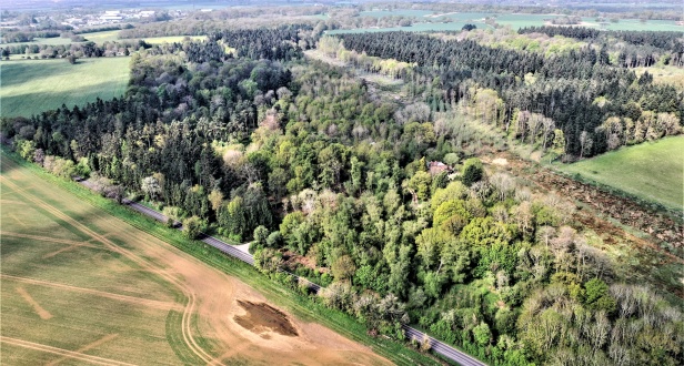 Clifton Heath Woodland