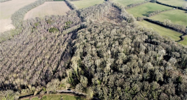 Gerbeston Wood