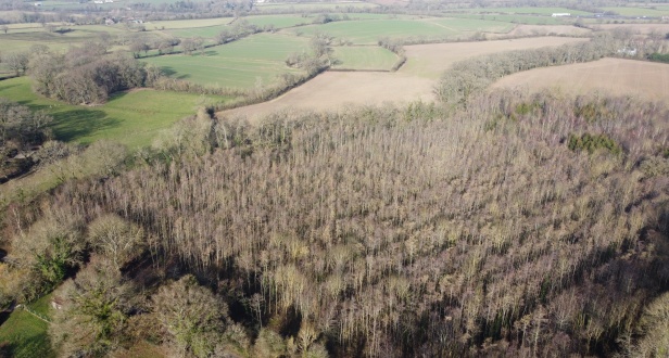 Gerbeston Farm Wood