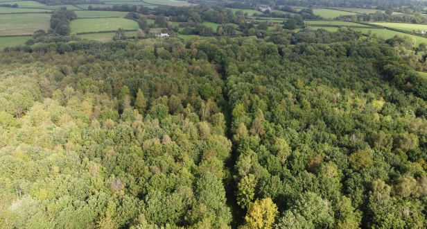  Woodlands for sale in the UK