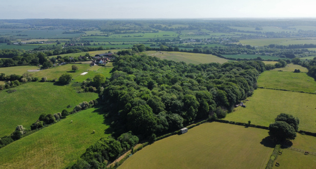Lower Wood