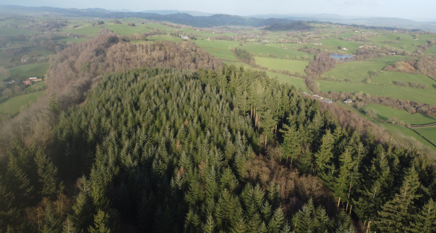 Bryn Y Pentre