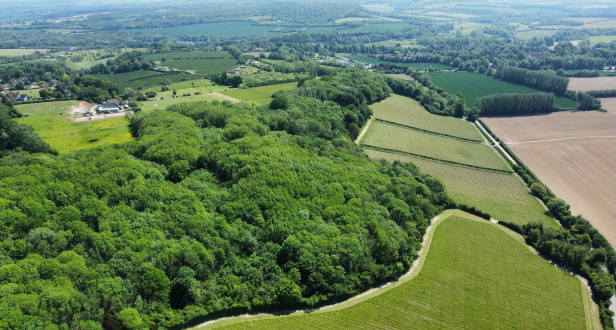 Hawkins Rough Woodland, Pasture and Orchard