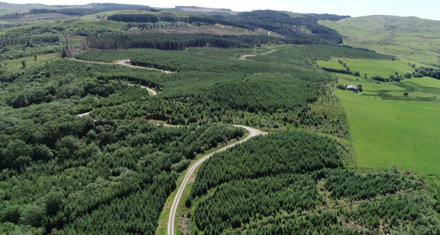 Bryn Eithinog