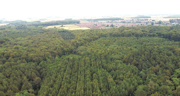 Manby & West Wood