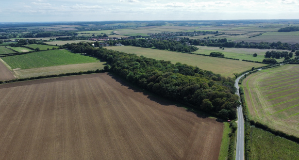 Mill Wood