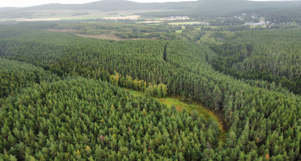 Baddengorm Wood - Plots 3 & 4
